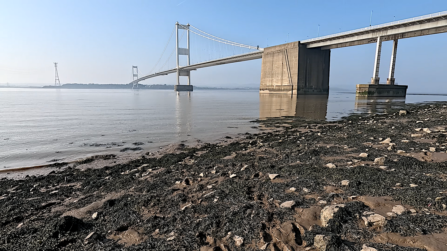 My 2026 A3 Wall Calendar (29.7cm x 42cm)