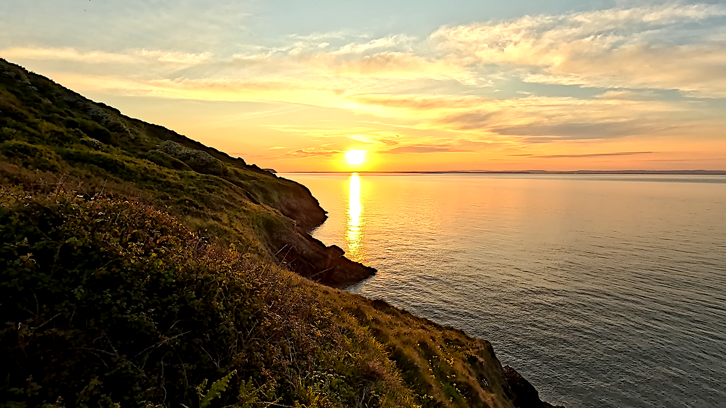 My 2026 A3 Wall Calendar (29.7cm x 42cm)